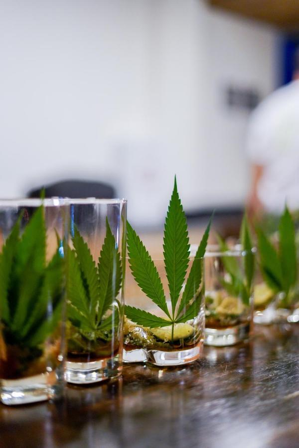 Cannatel Exclusive Hotel El Socorro Luaran gambar