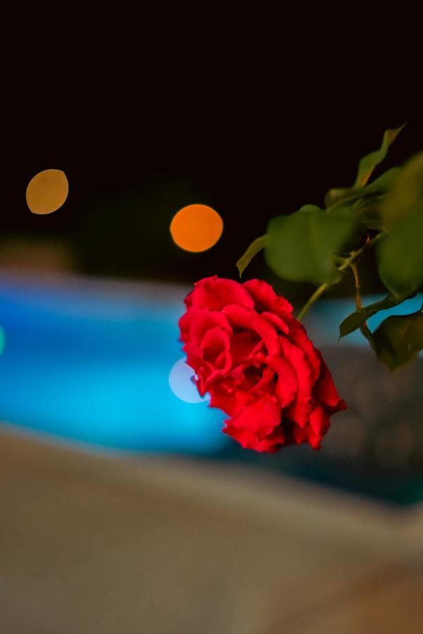 Cannatel Exclusive Hotel El Socorro Luaran gambar