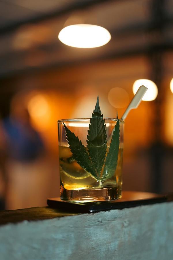 Cannatel Exclusive Hotel El Socorro Luaran gambar